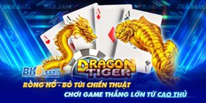 Chiến thuật chơi rồng hổ đỉnh cao từ BK8